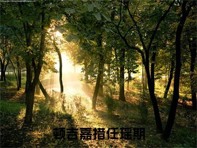 顿吉嘉措任瑶期大结局全文免费阅读最新章节_任瑶期顿吉嘉措大结局