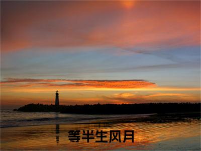 等半生风月（卢安夏孟归年）小说免费阅读在线阅读_等半生风月全文免费阅读_笔趣阁