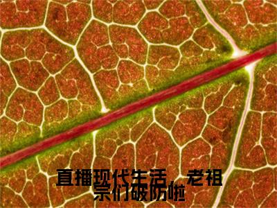云玉瑶全文（直播现代生活，老祖宗们破防啦）全文免费阅读无弹窗大结局_云玉瑶免费最新章节列表_笔趣阁