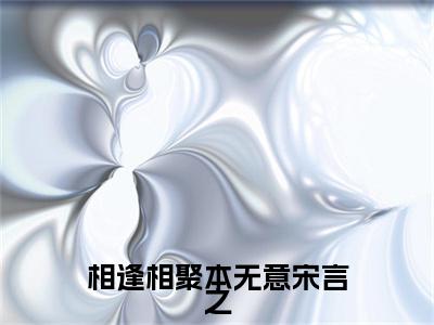 相逢相聚本无意宋言之（宋言之）全文免费阅读无弹窗大结局_相逢相聚本无意宋言之最新章节列表_笔趣阁