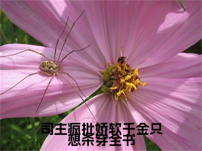 主角是南辰桡南初筝的小说叫什么名字司主疯批娇软千金只想杀穿全书-老书虫书荒推荐热点小说司主疯批娇软千金只想杀穿全书（南辰桡南初筝）