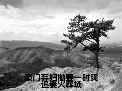 豪门弃妇抛妻一时爽追妻火葬场（晓宝蓓）多人推荐-晓宝蓓豪门弃妇抛妻一时爽追妻火葬场好看的小说完整版全文