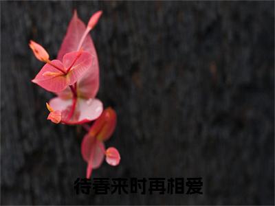 待春来时再相爱（傅寒姜虞）全文免费阅读无弹窗大结局_待春来时再相爱免费阅读无弹窗最新章节列表