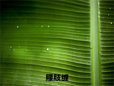 腰肢缠（明月林墨）抖音热推小说全集无删减_（明月林墨免费阅读全文大结局）最新章节列表_笔趣阁