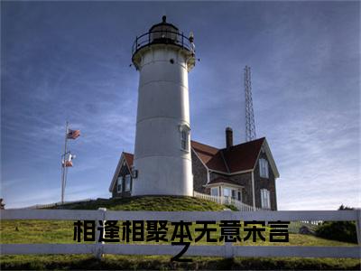 宋言之（相逢相聚本无意宋言之）全文免费阅读无弹窗大结局_（相逢相聚本无意宋言之）宋言之最新章节列表笔趣阁