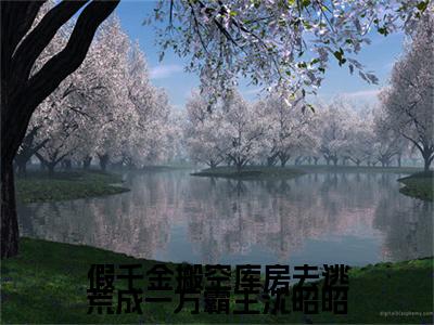 假千金搬空库房去逃荒成一方霸主沈昭昭全文免费阅读无弹窗大结局_（楚怀瑾沈昭昭无弹窗）假千金搬空库房去逃荒成一方霸主沈昭昭全文阅读最新章节列表笔趣阁