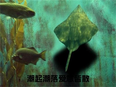 沈知秋顾之宴（潮起潮落爱意皆散）全文免费阅读无弹窗大结局_沈知秋顾之宴（潮起潮落爱意皆散小说免费阅读）_笔趣阁