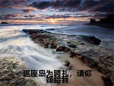 这座岛为聘礼，请你嫁给我小说（维今季朵）免费阅读全文无弹窗大结局_维今季朵免费阅读无弹窗小说_小说笔趣阁