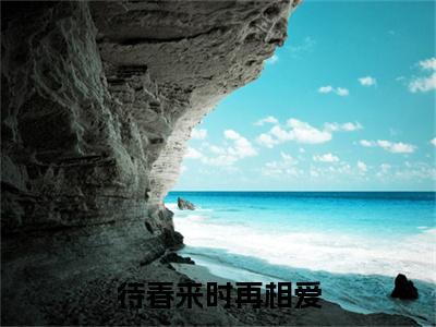 待春来时再相爱（傅寒姜虞）全文免费阅读无弹窗大结局_（傅寒姜虞小说免费阅读）_笔趣阁