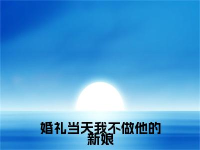 盛纤纤叶南辰全文免费阅读大结局-婚礼当天我不做他的新娘最新章节阅读