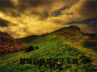 替嫁后病弱世子不装了入她局免费阅读无弹窗最新章节列表-（万馨儿楚逸）全文免费阅读大结局笔趣阁（万馨儿楚逸）
