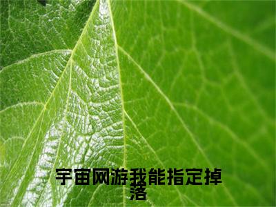 宇宙网游我能指定掉落（陆空）全文免费阅读无弹窗大结局_宇宙网游我能指定掉落（陆空）全文阅读_笔趣阁
