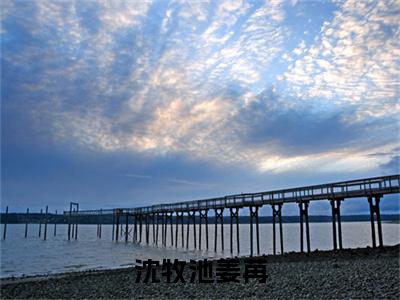 沈牧池姜苒（沈牧池姜苒）全文免费阅读无弹窗大结局_沈牧池姜苒最新章节列表_笔趣阁（沈牧池姜苒）