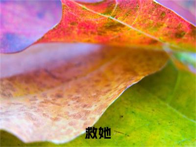 许言（救她）小说结局-许言全文无弹窗阅读