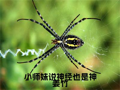 小师妹说神经也是神姜竹（姜竹全文免费阅读）小说最新章节_小师妹说神经也是神姜竹全文免费阅读最新章节列表_笔趣阁
