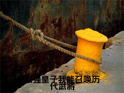 最强皇子我能召唤历代武将（叶凡）小说多人阅读-小说叶凡在哪里看免费
