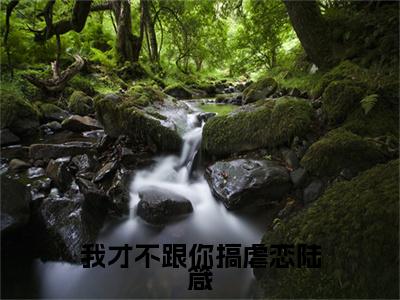 我才不跟你搞虐恋陆箴小说全文免费阅读_（言修聿陆箴）我才不跟你搞虐恋陆箴最新章节列表笔趣阁