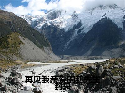 再见我亲爱的封先生封央全文（景瓷封央）全文免费阅读无弹窗大结局_（景瓷封央）再见我亲爱的封先生封央最新章节列表