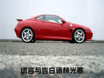 谎言与告白诗林光寒小说（苏绮林光寒）全文免费阅读_（谎言与告白诗林光寒小说）苏绮林光寒小说精彩在线赏析