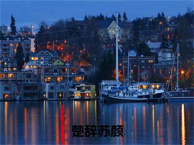 苏颜楚辞小说在线阅读全文无弹窗大结局_楚辞苏颜小说免费最新章节列表