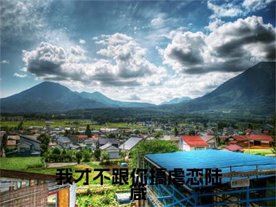 言修聿陆箴小说大结局全文免费阅读-抖音小说我才不跟你搞虐恋陆箴
