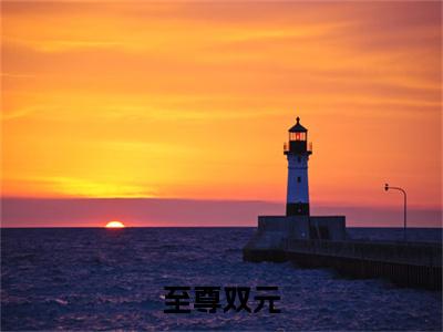 至尊双元全文免费阅读_（陈怀信免费阅读无弹窗）至尊双元高赞小说阅读