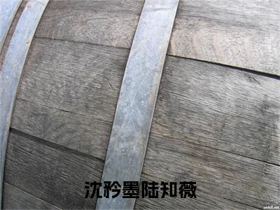 沈矜墨陆知薇全文免费在线阅读_（陆知薇沈矜墨免费阅读无弹窗）沈矜墨陆知薇全文免费完结版阅读