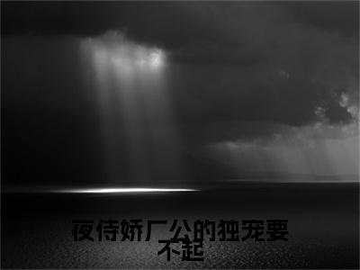 夜侍娇厂公的独宠要不起（苏沅陆忱）全文免费阅读无弹窗大结局_夜侍娇厂公的独宠要不起最新章节列表-笔趣阁苏沅陆忱