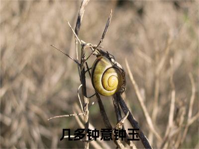 几多钟意钟玉全文免费阅读_（钟玉免费阅读无弹窗）钟玉最新章节列表笔趣阁