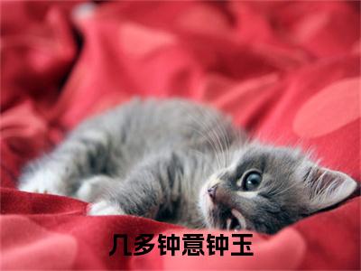 钟玉（几多钟意钟玉）完整版小说阅读大结局_钟玉（几多钟意钟玉）全文免费阅读笔趣阁