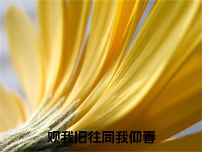 观我旧往同我仰春（厉书臣）免费阅读无弹窗大结局-观我旧往同我仰春免费阅读大结局最新章节列表_笔趣阁