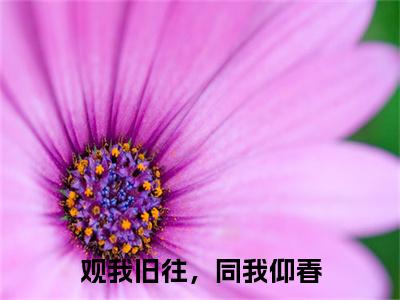 观我旧往，同我仰春（厉书臣）全文免费阅读无弹窗大结局_观我旧往，同我仰春最新章节列表（厉书臣）