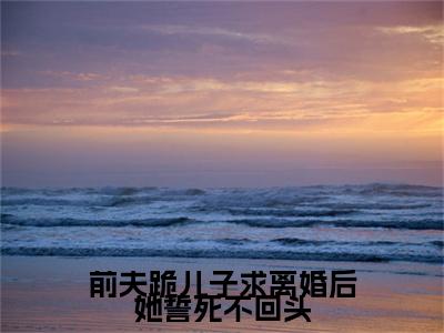 顾行川苏洛（前夫跪儿子求离婚后她誓死不回头）全文免费阅读无弹窗大结局-前夫跪儿子求离婚后她誓死不回头（顾行川苏洛）小说全文免费阅读最新章节列表