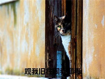 厉书臣正版小说最新章节在线阅读-观我旧往同我仰春（厉书臣）全文无弹窗阅读