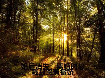 【新书】《婚后消失，离婚时总裁却哭着撒娇》全文免费阅读无弹窗大结局-顾轻妤沈易泽全章节免费阅读