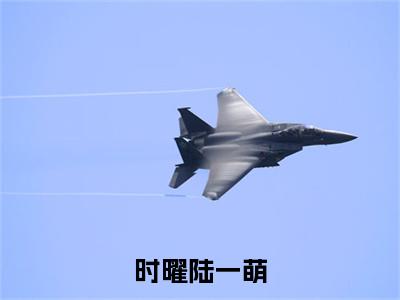 时曜陆一萌（陆一萌时曜）小说全文免费阅读无弹窗大结局_（陆一萌时曜）时曜陆一萌最新章节列表