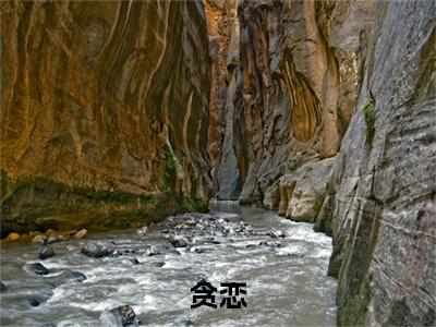 （任西故姜岁）贪恋全文免费阅读无弹窗大结局_贪恋最新章节列表笔趣阁（任西故姜岁）