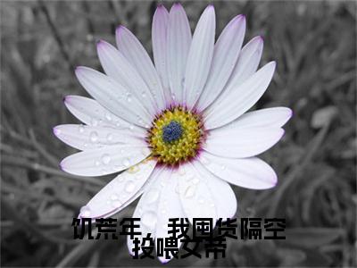 陈辰（饥荒年，我囤货隔空投喂女帝）全文免费阅读无弹窗大结局_陈辰小说全文大结局