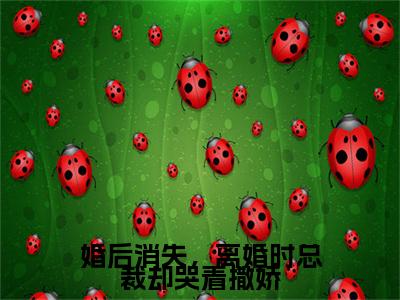 顾轻妤沈易泽小说免费（婚后消失，离婚时总裁却哭着撒娇）全文免费阅读无弹窗-婚后消失，离婚时总裁却哭着撒娇小说全文免费阅读最新章节列表
