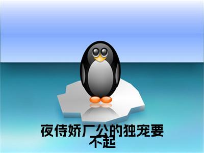 苏沅陆忱（夜侍娇厂公的独宠要不起）免费小说-（夜侍娇厂公的独宠要不起）完结版在线阅读