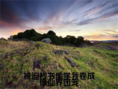 被迫抄书偷学我卷成修仙界团宠墨安亦小说结局-被迫抄书偷学我卷成修仙界团宠全文无弹窗阅读