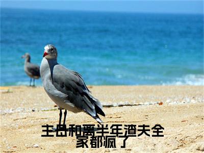 主母和离半年渣夫全家都疯了免费阅读（李长英周棠宁）完整版全文全章节阅读