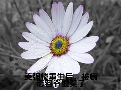 容砚之虞婳小说免费（美强惨重生后，被病态容爷缠哭了免费阅读）美强惨重生后，被病态容爷缠哭了全文免费阅读无弹窗大结局_容砚之虞婳小说最新章节列表