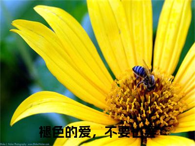 褪色的爱，不要也罢全文免费阅读无弹窗大结局_褪色的爱，不要也罢（顾明月）小说结局免费阅读（顾明月）