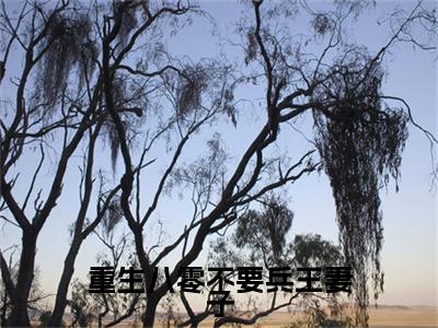 重生八零不要兵王妻子全文（宋梁周静和）抖音热推小说全集无删减_宋梁周静和免费最新章节列表_笔趣阁
