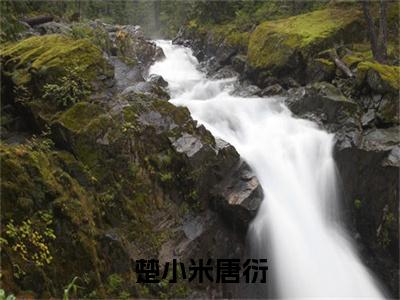 楚小米唐衍（楚小米唐衍）小说全文免费读无弹窗大结局_楚小米唐衍小说全文免费阅读