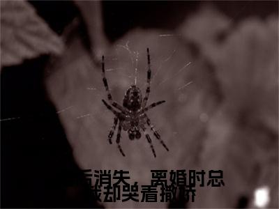 婚后消失，离婚时总裁却哭着撒娇（顾轻妤沈易泽）最火小说全文-（顾轻妤沈易泽）婚后消失，离婚时总裁却哭着撒娇小说完整版免费阅读