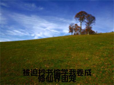 墨安亦全文阅读-被迫抄书偷学我卷成修仙界团宠小说免费阅读-笔趣阁