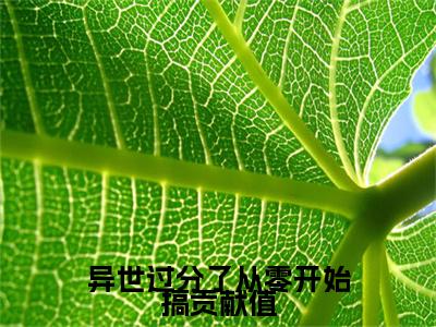 安酒溥淮最新完结免费阅读-异世过分了从零开始搞贡献值悬疑小说在线阅读