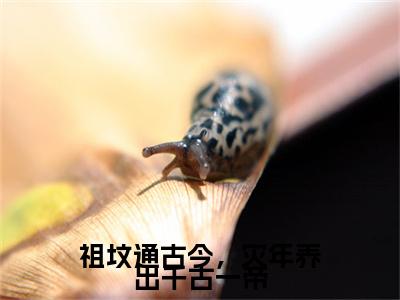 祖坟通古今，灾年养出千古一帝（姜桃）全文免费阅读无弹窗大结局_姜桃免费阅读最新章节列表_笔趣阁